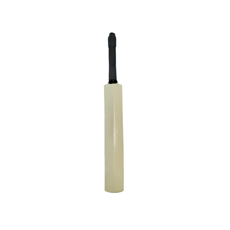 Autograph Cricket Bat