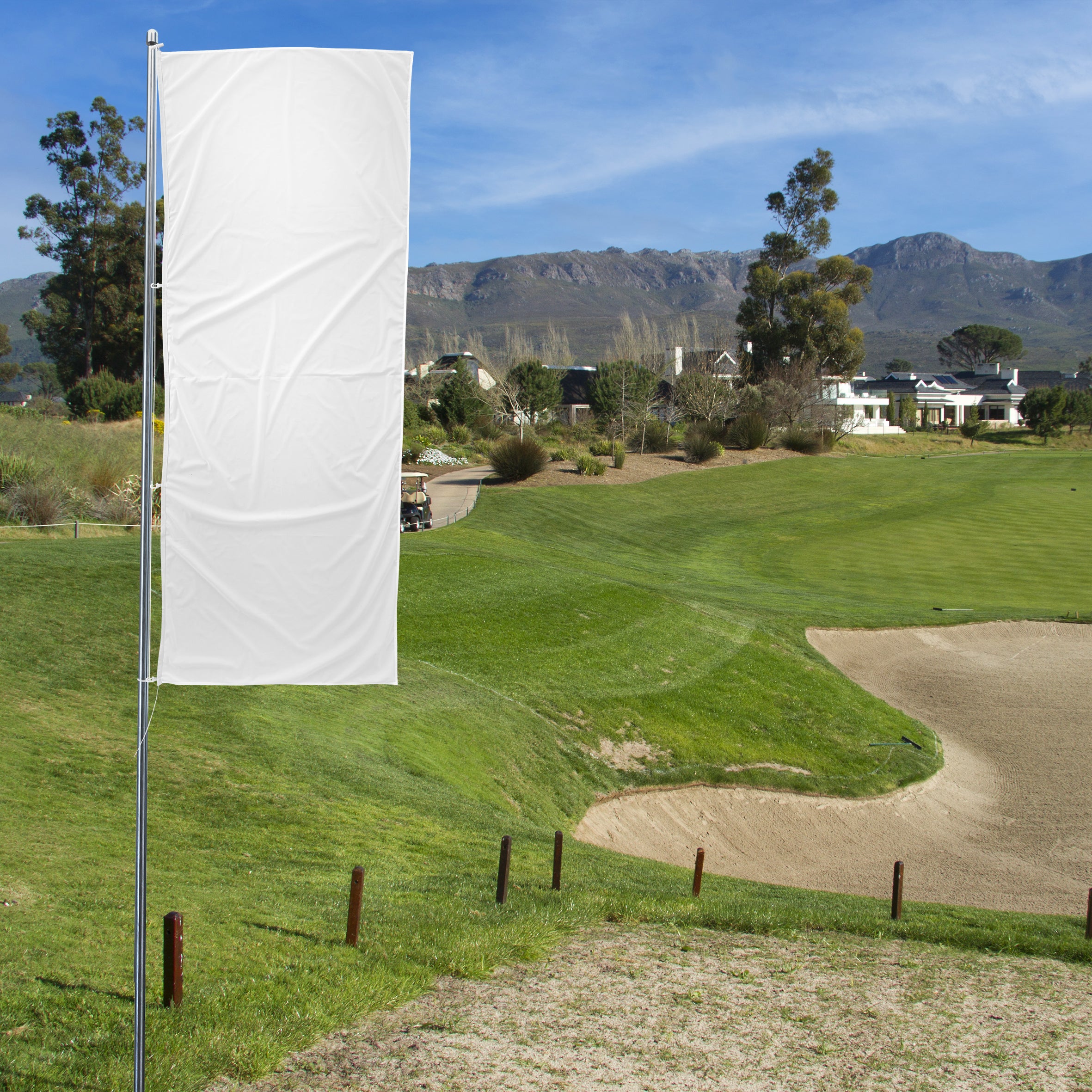 Custom Sports Flag