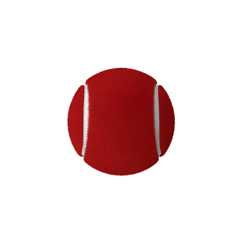 Admiral Cricket Ball