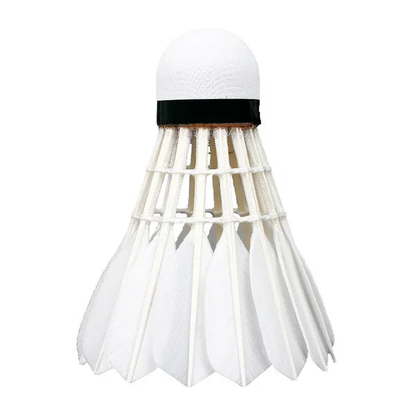 Badminton Shuttlecock (Set of 12)