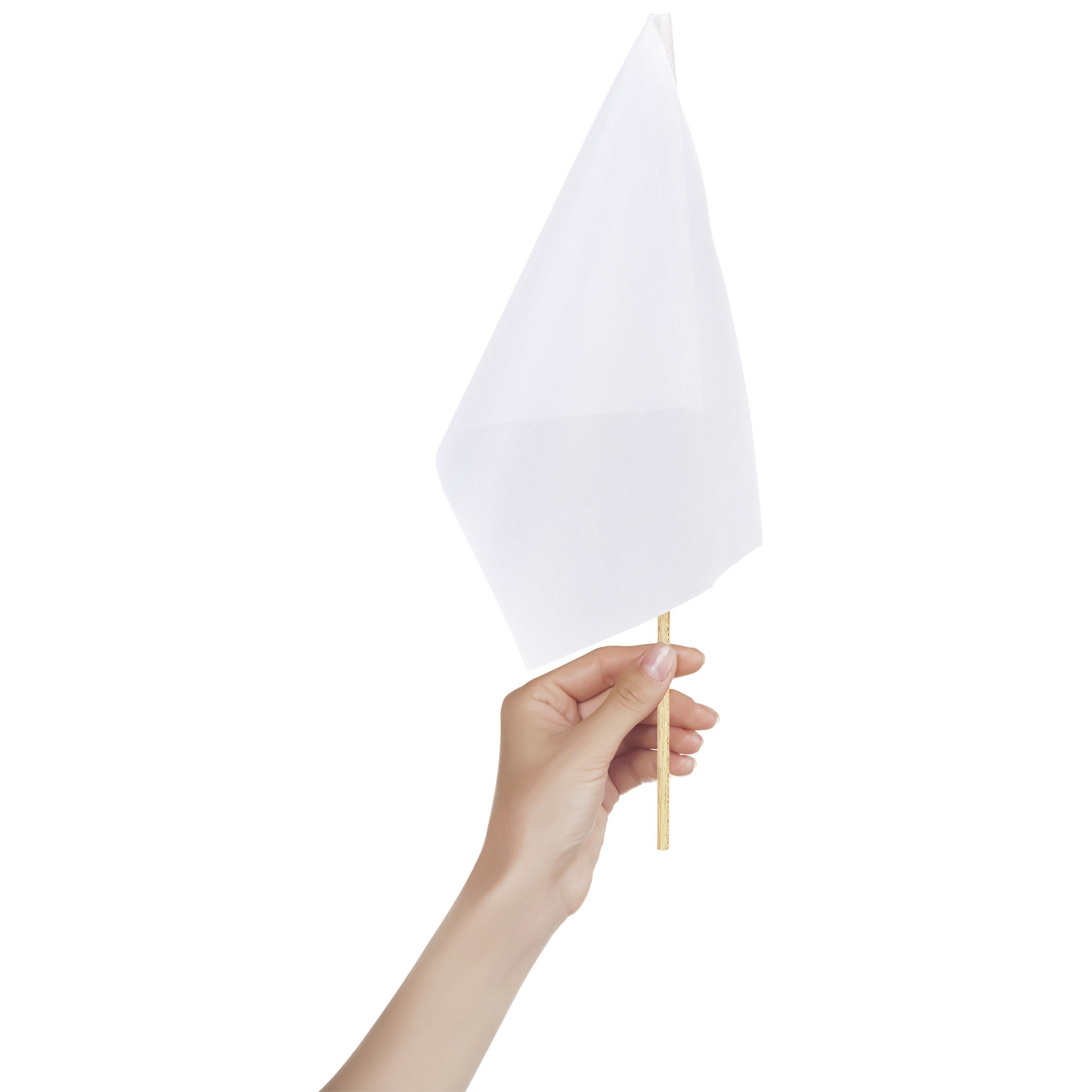 Custom Sports Hand Flag