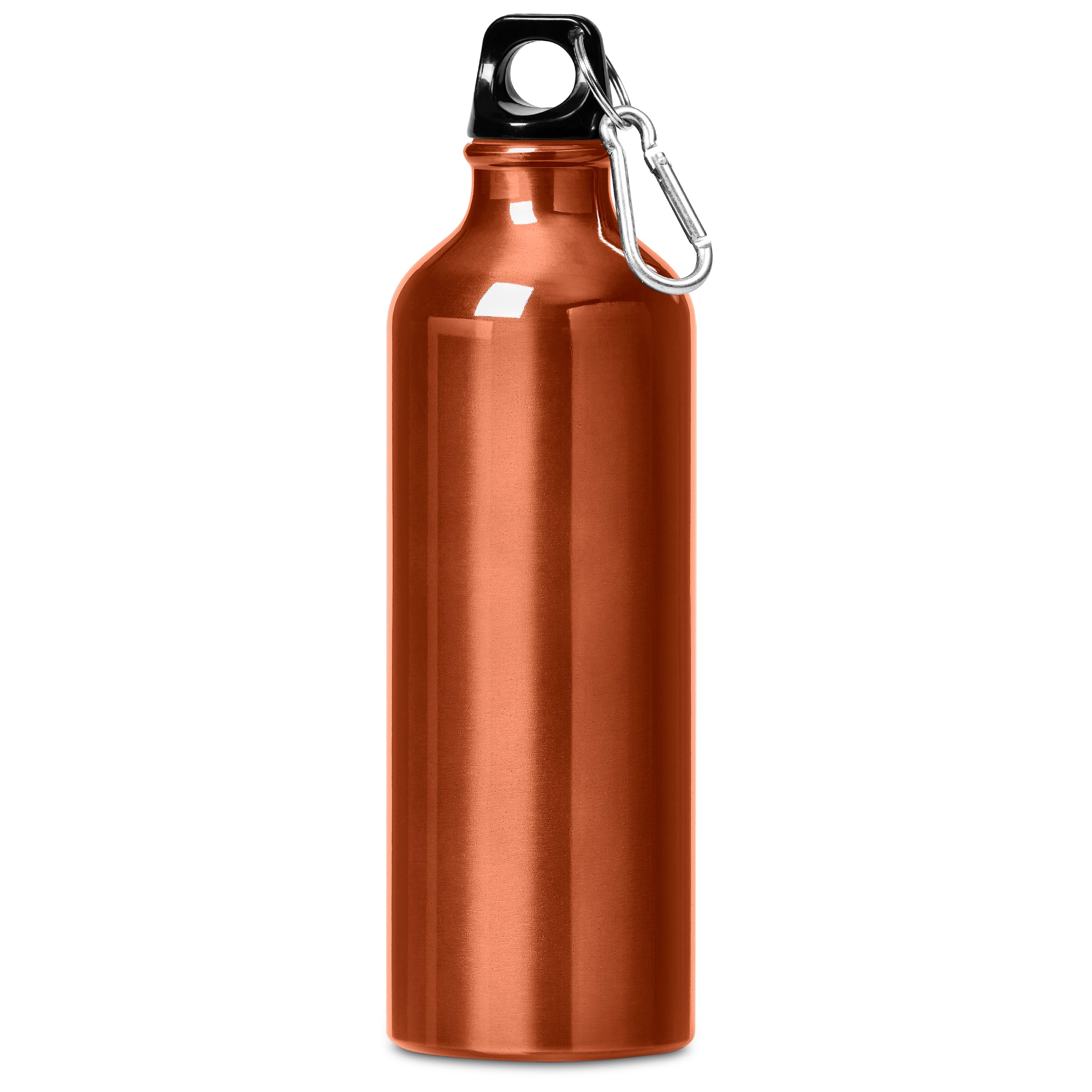 Large Aluminium Bottle (750ml)