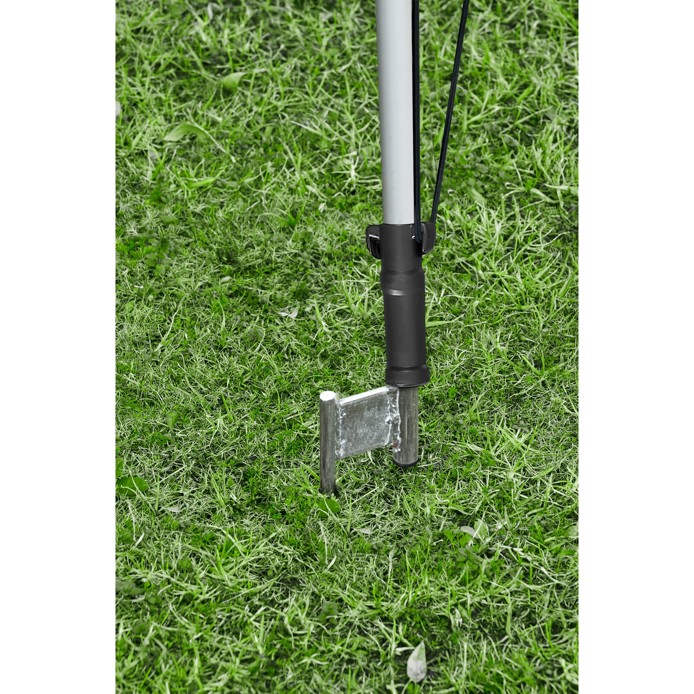 Sharkfin Advertising Banner