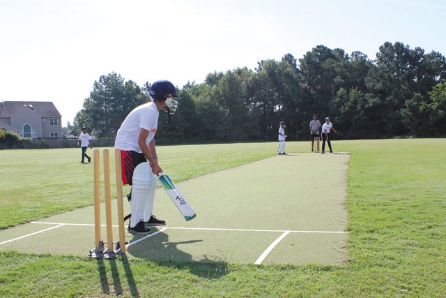 Spring-back Cricket Stumps