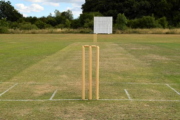 Wooden Cricket Stumps